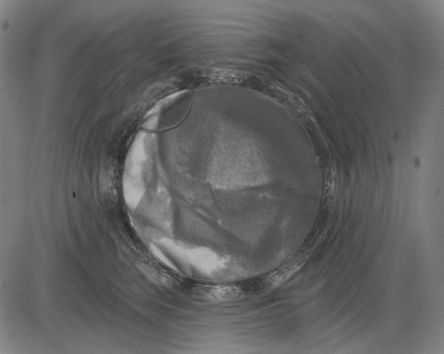 X0000083650663200703051727