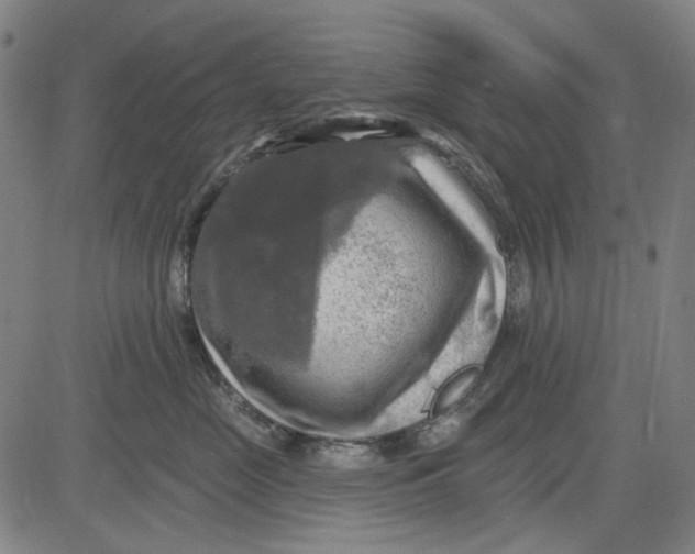X0000083650669200703051728