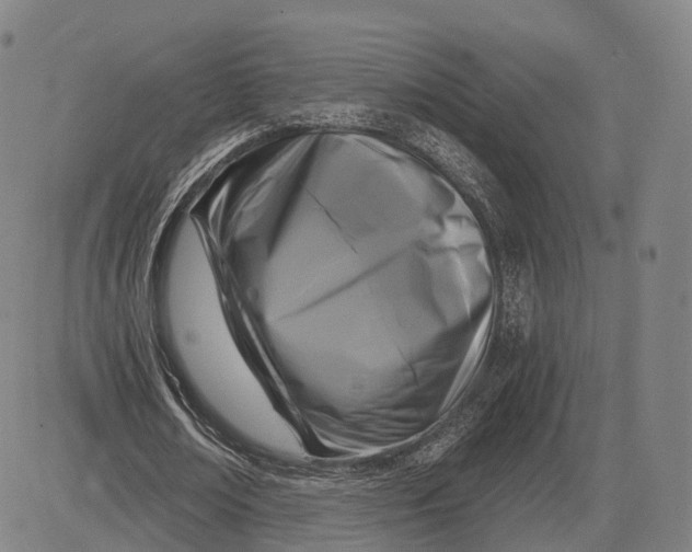 X0000083650674200703051727
