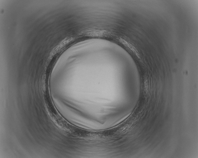X0000083650682200703051727