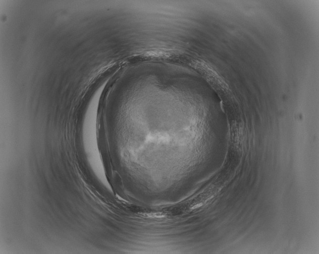 X0000083650692200703051727
