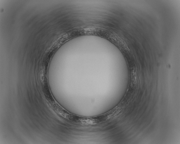X0000083650698200703051726