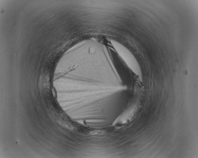 X0000083650700200703051726