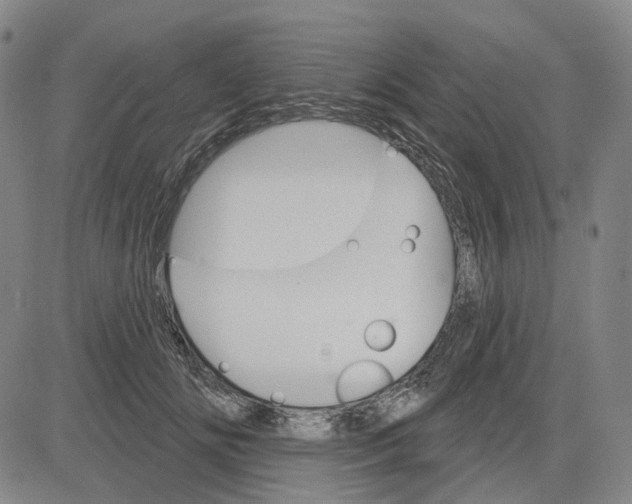 X0000083650702200703051726