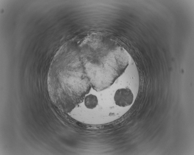X0000083650703200703051726