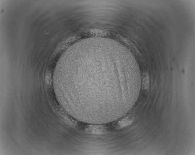 X0000083650713200703051726