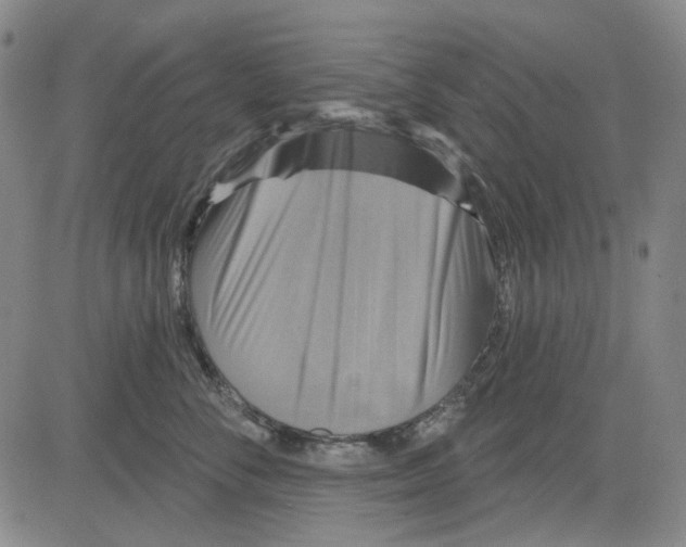 X0000083650716200703051726