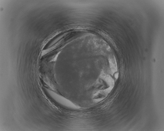 X0000083650721200703051725