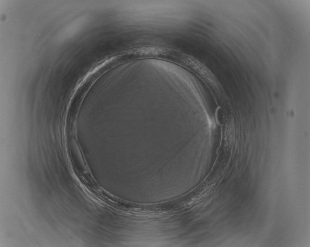 X0000083650722200703051725