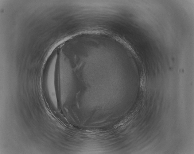 X0000083650724200703051725