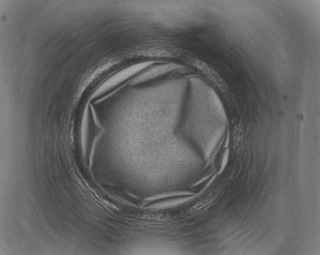 X0000083650727200703051725
