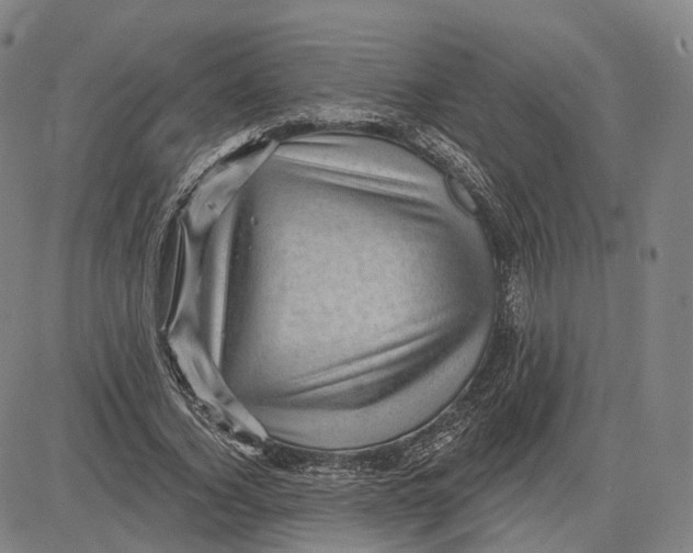 X0000083650732200703051725