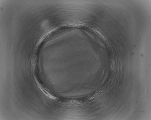 X0000083650736200703051726