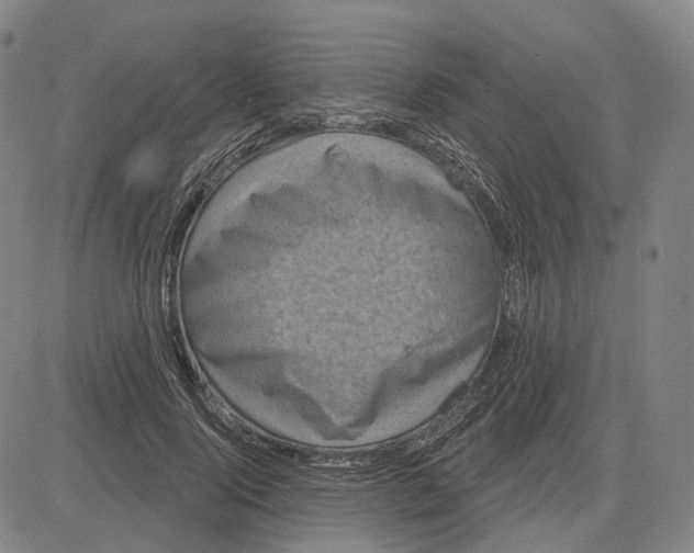 X0000083650740200703051726