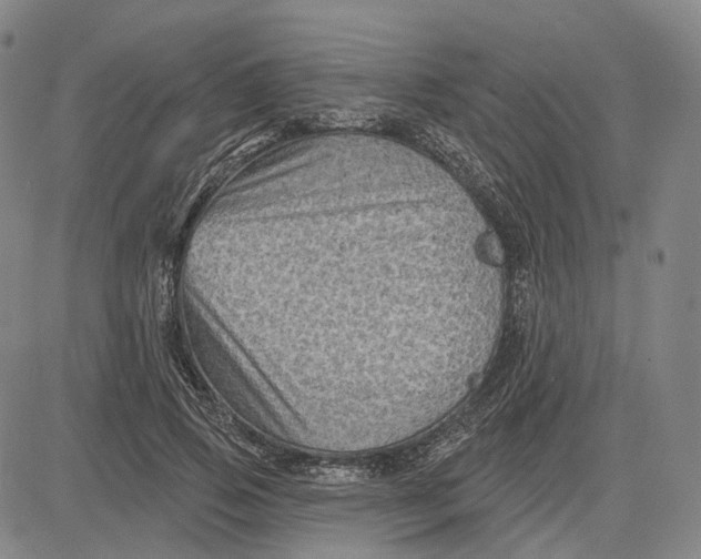 X0000083650741200703051726