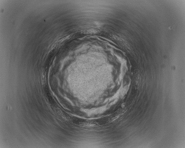 X0000083650743200703051726