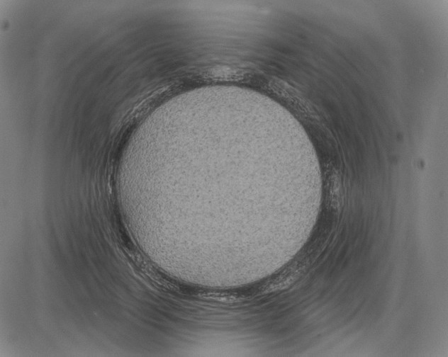 X0000083650746200703051726