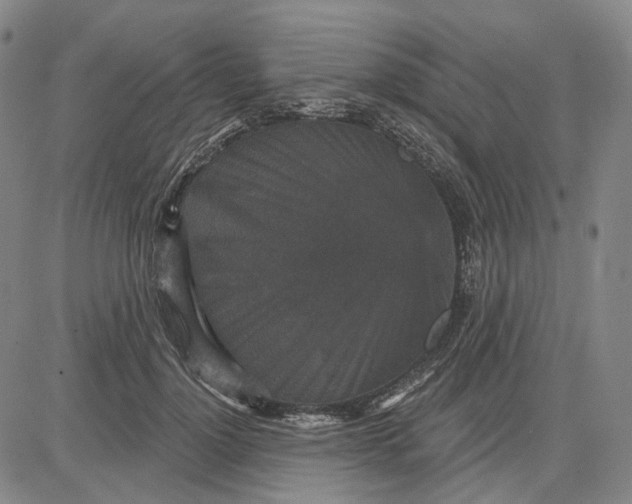 X0000083650748200703051726
