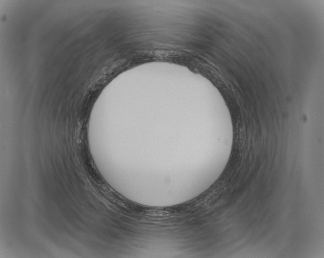 X0000083650750200703051726