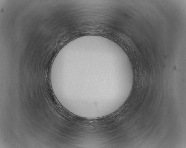 X0000083650752200703051726