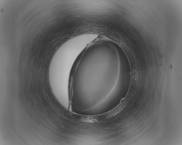 X0000083650754200703051726