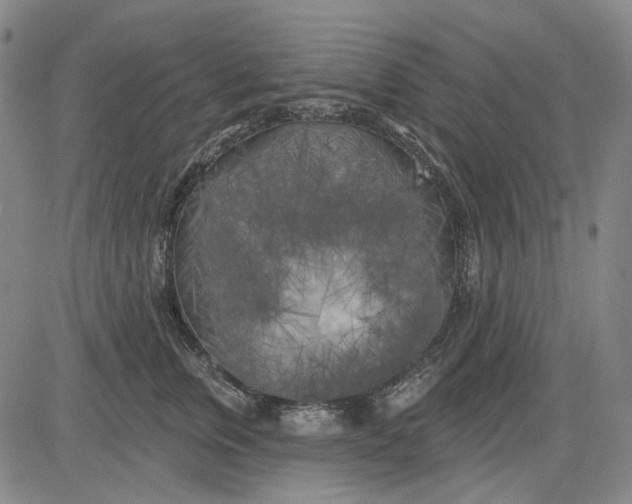 X0000083650759200703051726