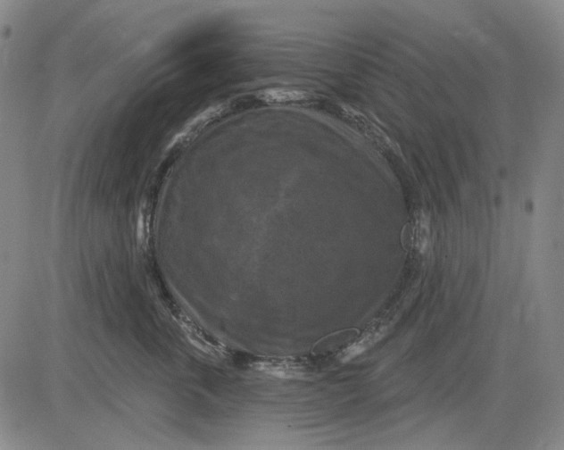X0000083650763200703051726