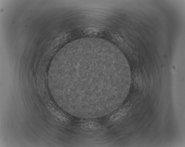 X0000083650769200703051725