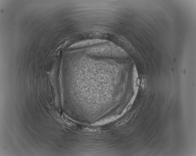 X0000083650771200703051725