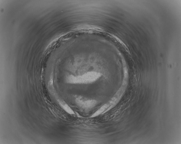 X0000083650775200703051725