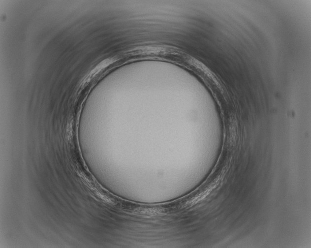 X0000083650778200703051725