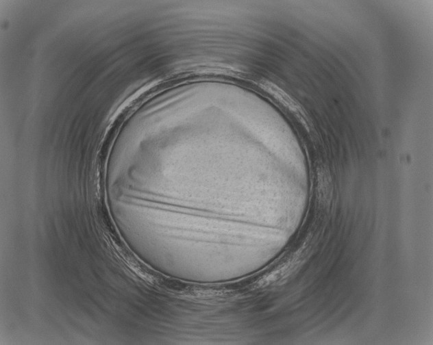 X0000083650782200703051725
