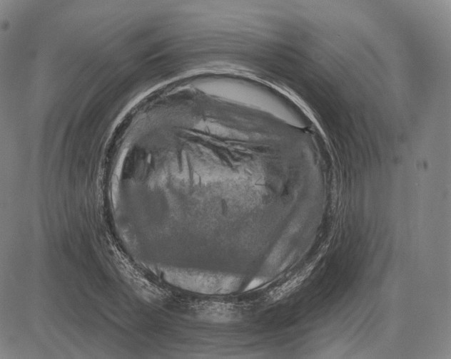 X0000083650783200703051725
