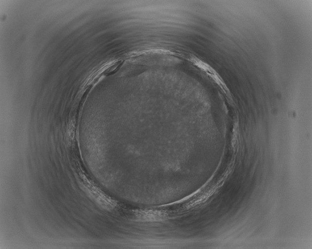 X0000083650785200703051725