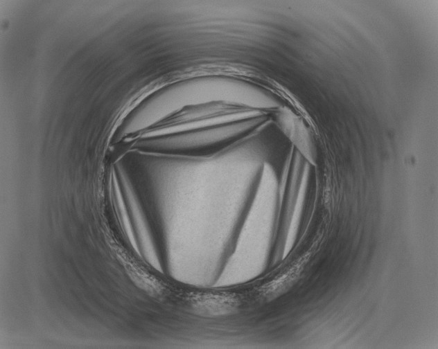 X0000083650786200703051725