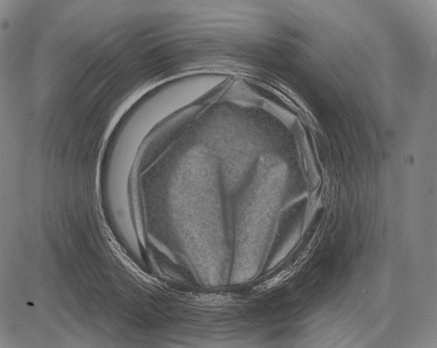 X0000083650788200703051725