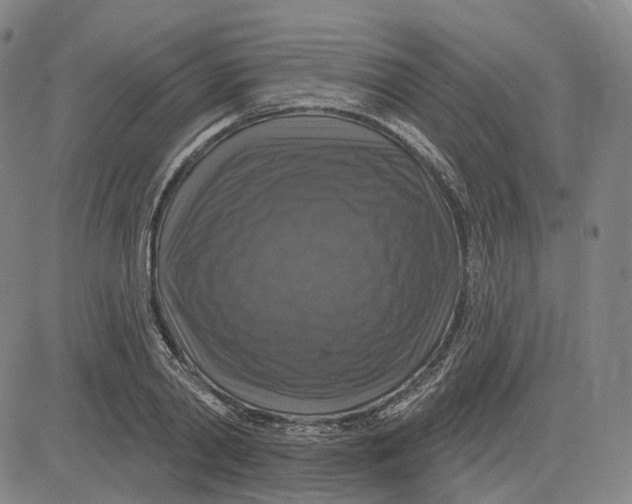 X0000083650790200703051725