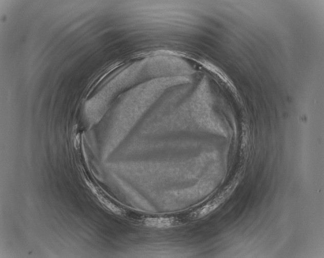 X0000083650793200703051725