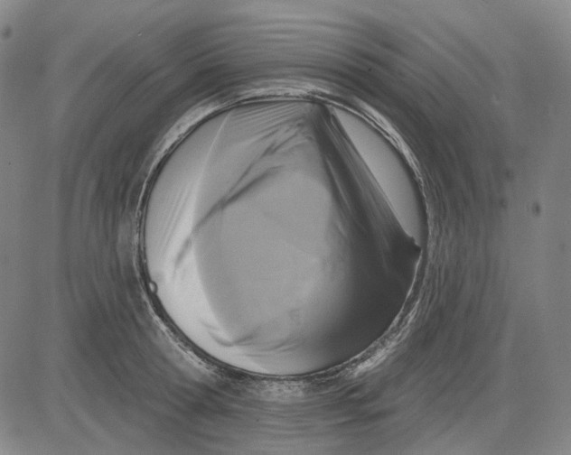 X0000083650802200703051725