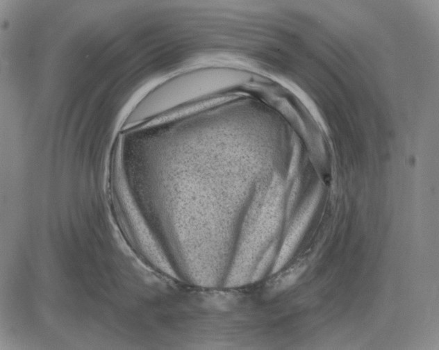 X0000083650815200703051724