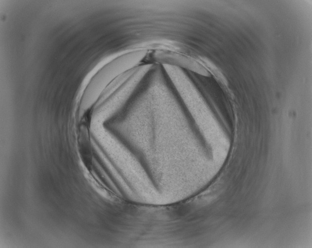 X0000083650816200703051724