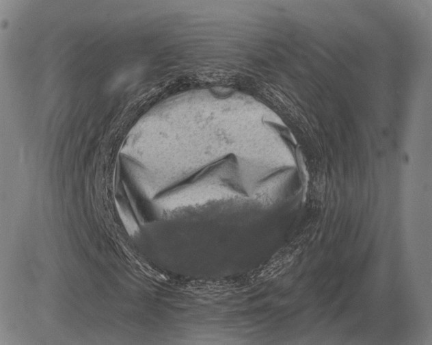 X0000083650817200703051724