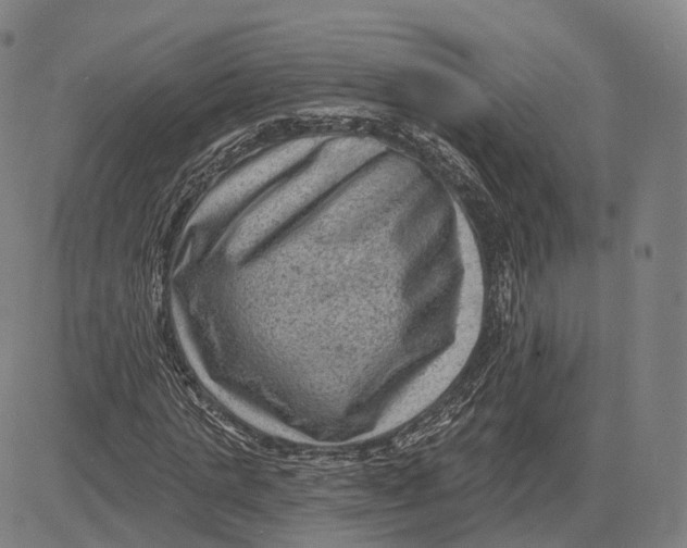 X0000083650821200703051724
