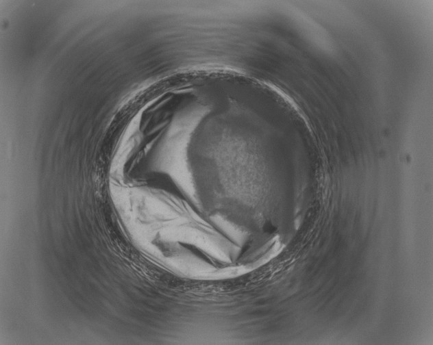 X0000083650823200703051724