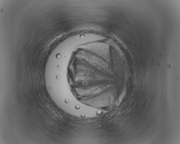 X0000083650824200703051724