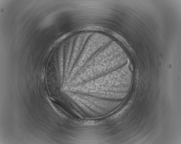 X0000083650841200703051724