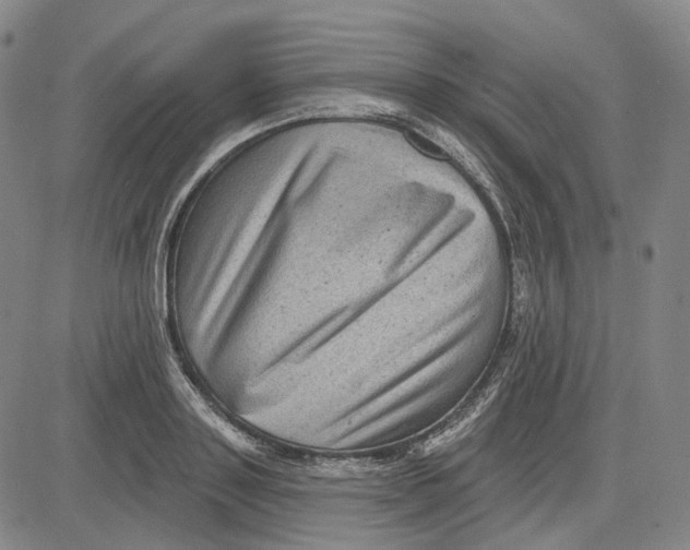 X0000083650843200703051724