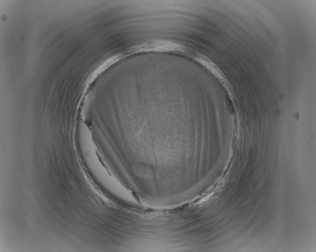 X0000083650850200703051724