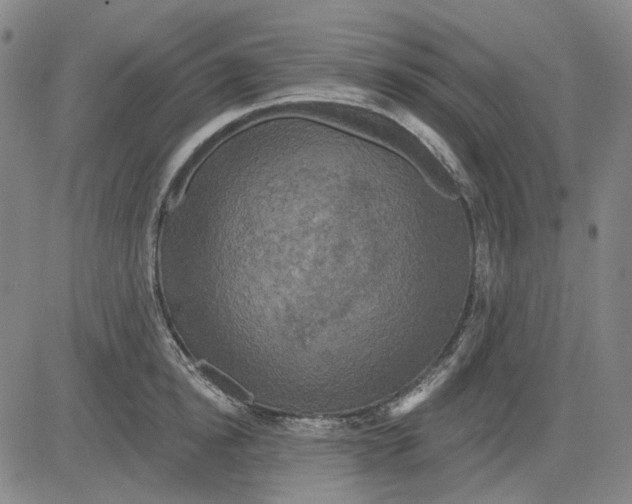 X0000083650854200703051724