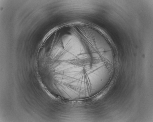 X0000083650858200703051724